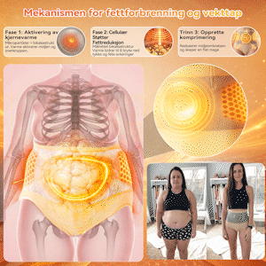 𝐏𝐀𝐔𝐑𝐀𝐉𝐔® 2026 Moringa & Berberin 4-i-1 Formende Fettforbrenningsshorts med Mikropartikler 🌻